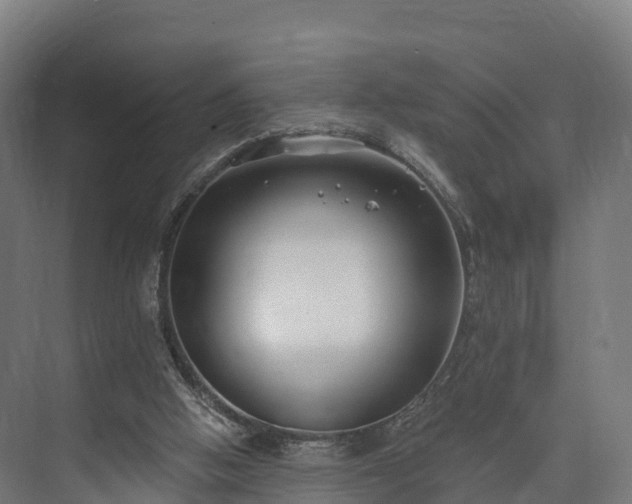 X0000074260058200609011353