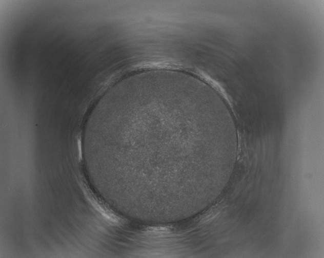 X0000074260061200609011353