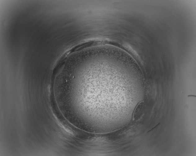 X0000074260063200609011353