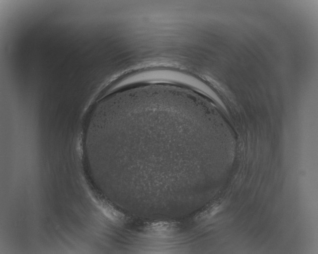 X0000074260064200609011353