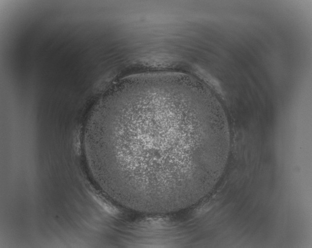 X0000074260065200609011353