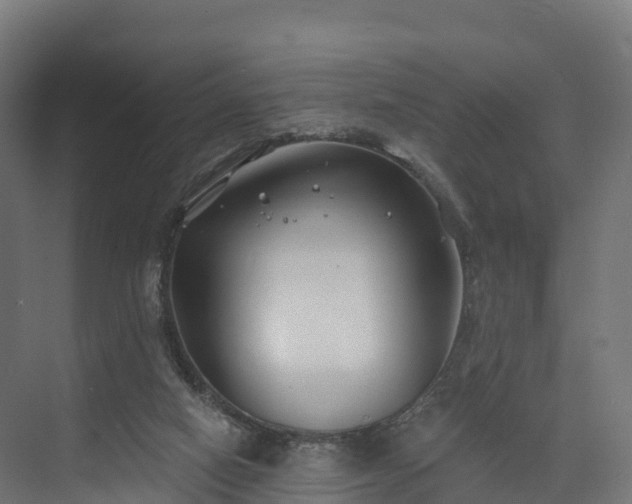 X0000074260066200609011353