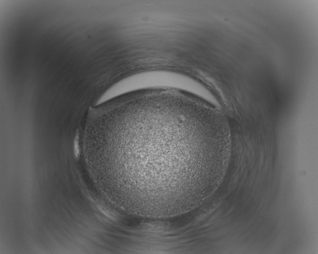 X0000074260069200609011353