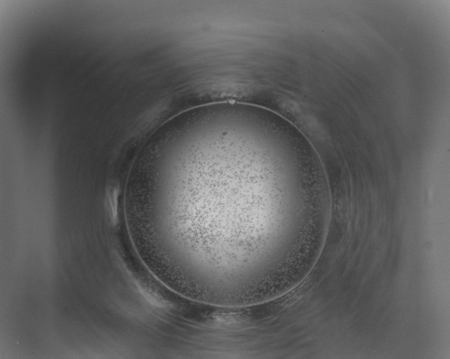 X0000074260070200609011353