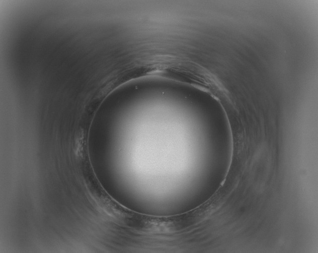 X0000074260073200609011353