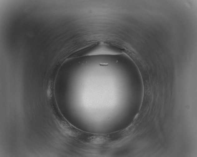 X0000074260074200609011353