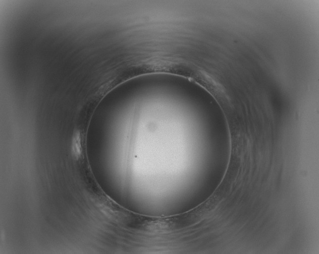 X0000074260075200609011353