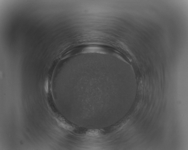 X0000074260076200609011354