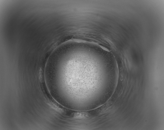 X0000074260077200609011354