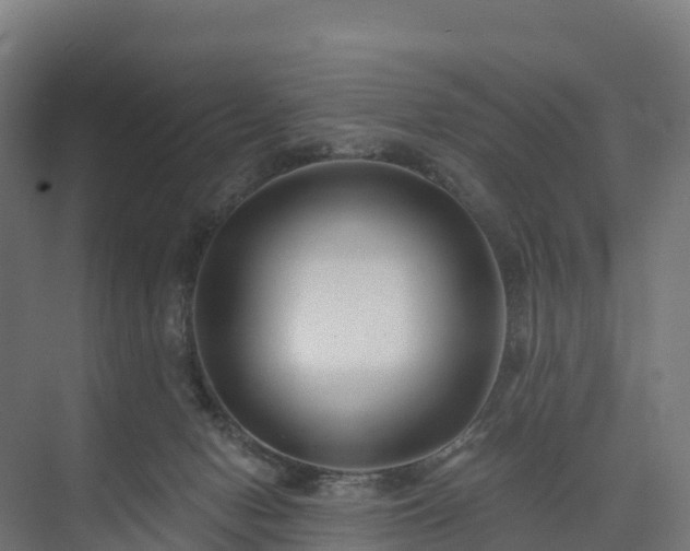 X0000074260078200609011354