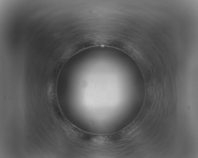 X0000074260079200609011354