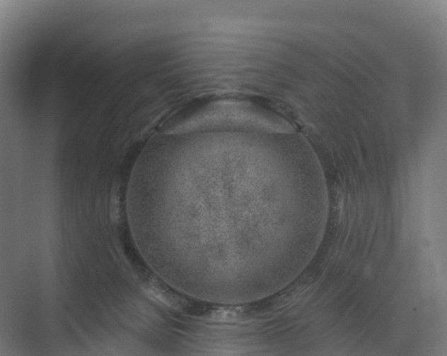 X0000074260080200609011354