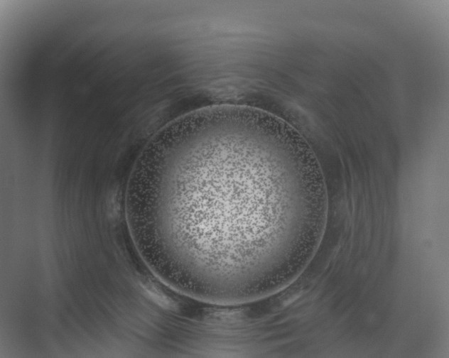 X0000074260081200609011354