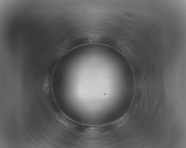 X0000074260082200609011354