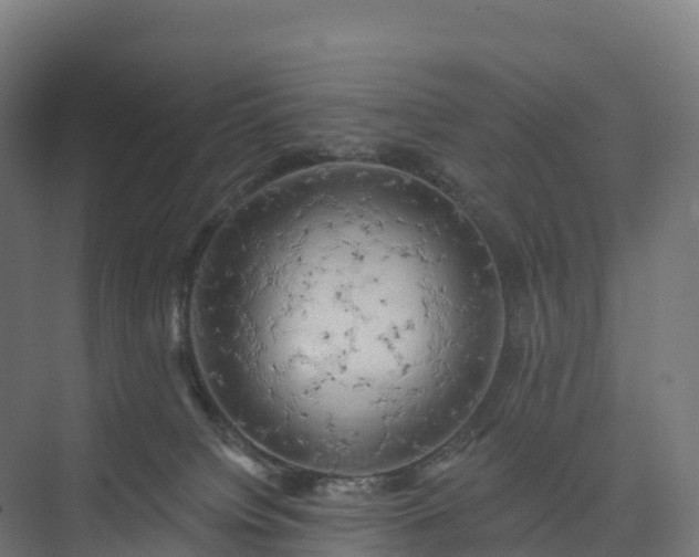 X0000074260084200609011354