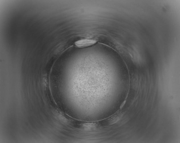 X0000074260085200609011354