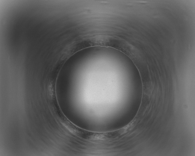 X0000074260086200609011354