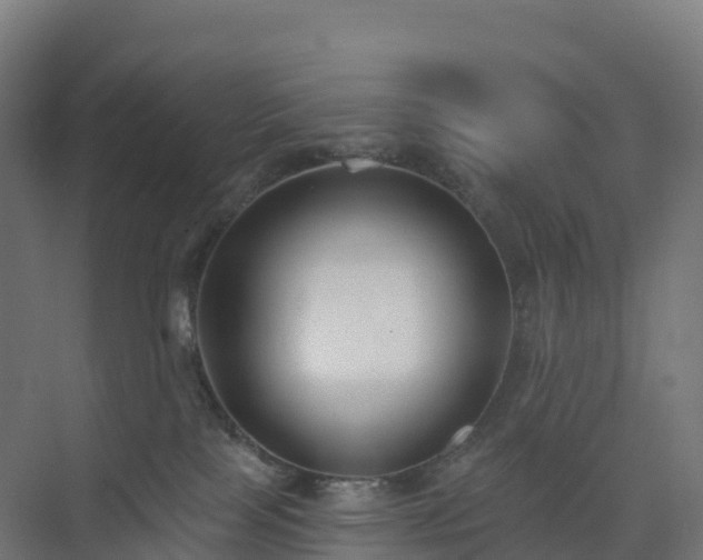 X0000074260089200609011354