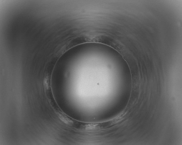 X0000074260090200609011354