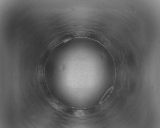 X0000074260091200609011354