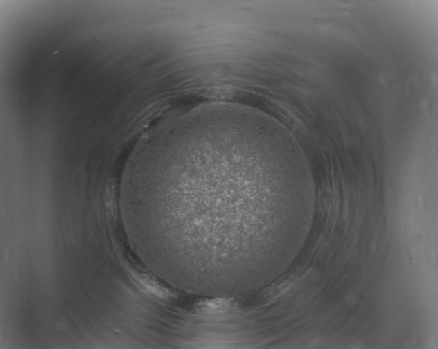 X0000074260092200609011354