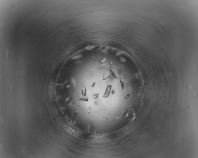 X0000074260093200609011354