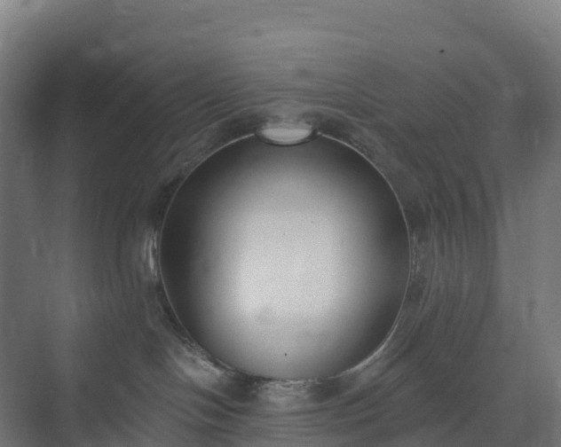 X0000074260094200609011354