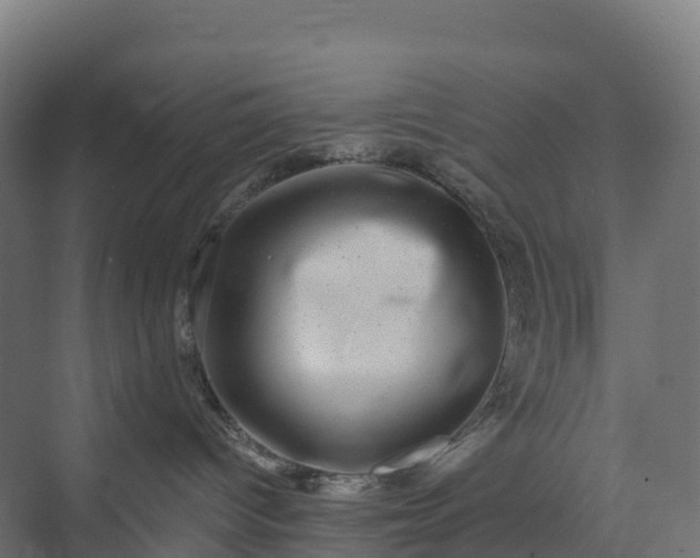 X0000074260096200609011354