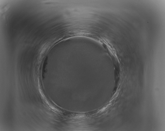 X0000074260097200609011353