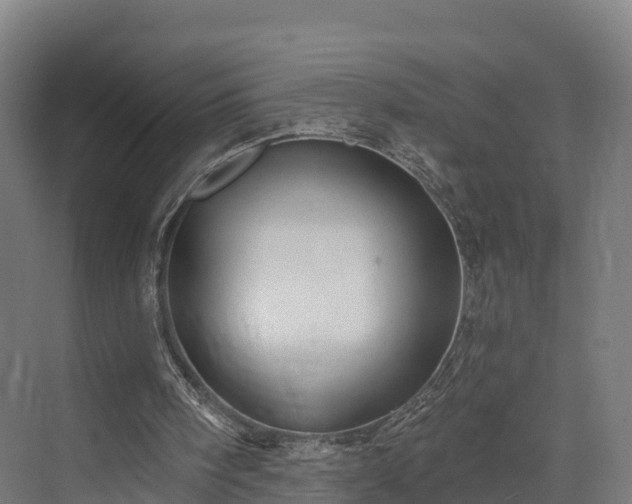 X0000074260098200609011353