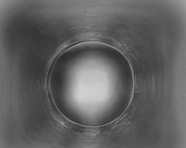 X0000074260099200609011353