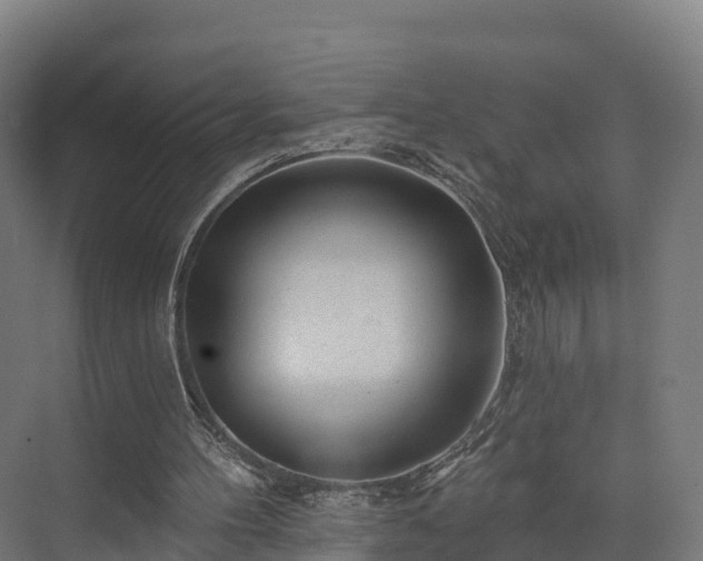 X0000074260100200609011353