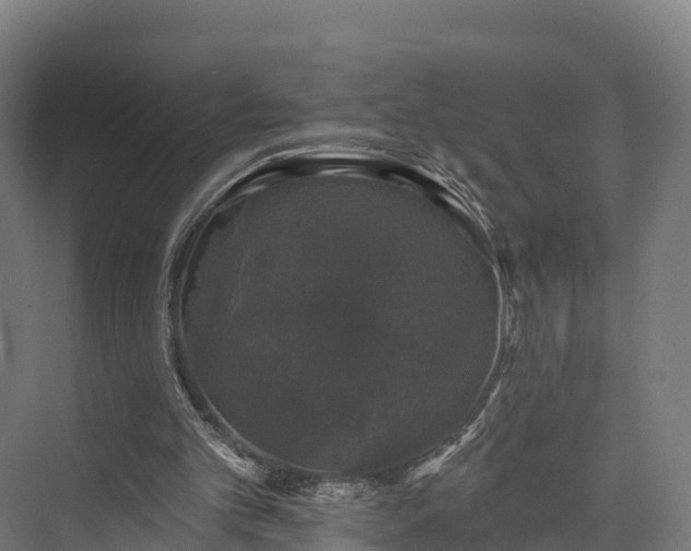 X0000074260101200609011353