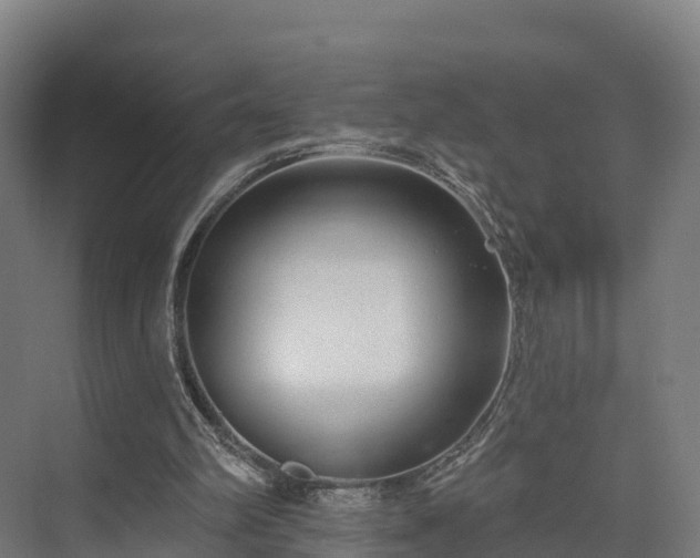 X0000074260102200609011353