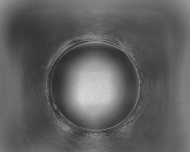 X0000074260103200609011353