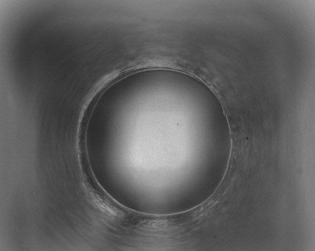 X0000074260104200609011353