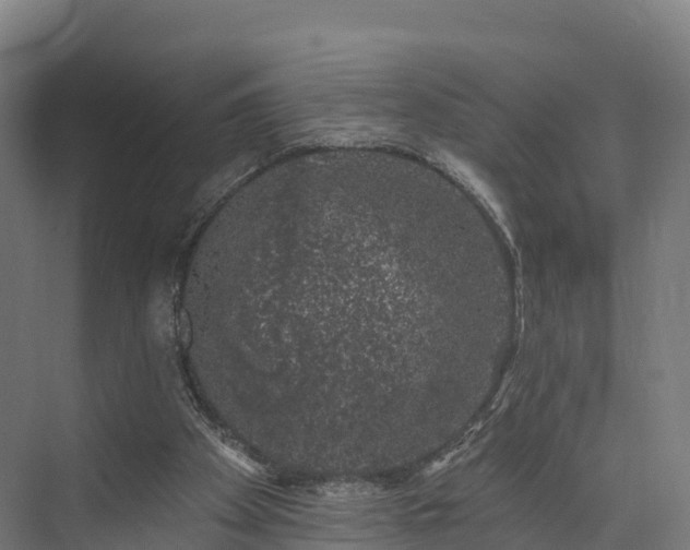 X0000074260105200609011353