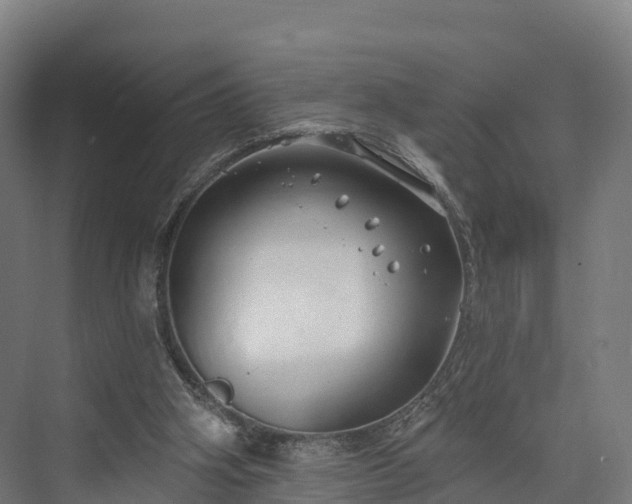 X0000074260106200609011353