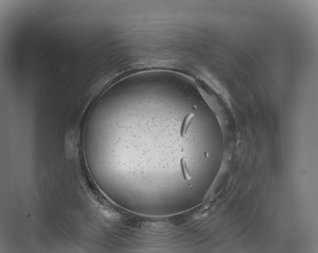 X0000074260107200609011353