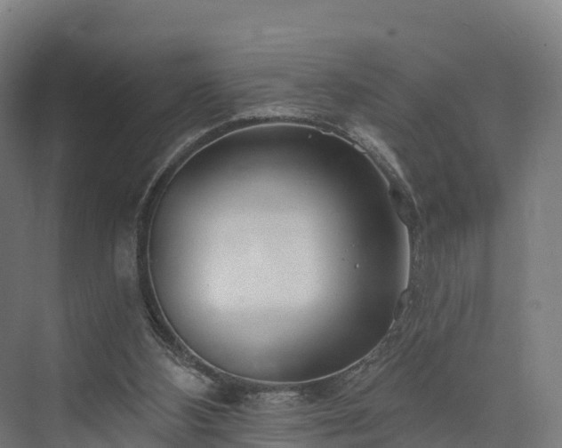 X0000074260108200609011353