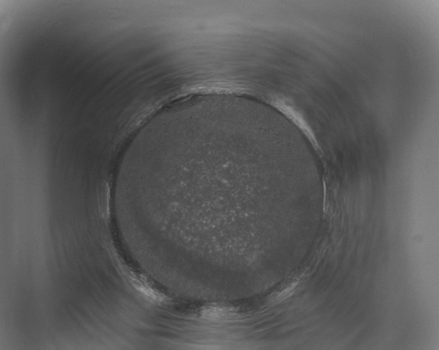 X0000074260109200609011353