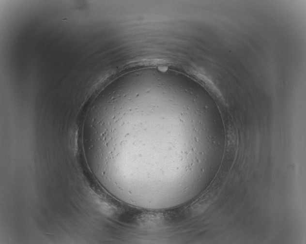 X0000074260110200609011353