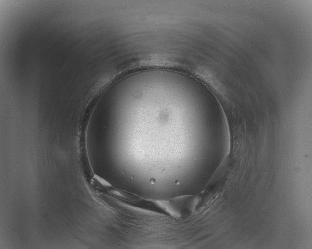 X0000074260111200609011353