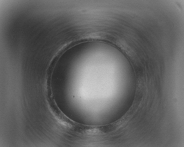 X0000074260112200609011353