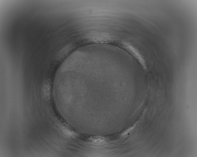 X0000074260113200609011353