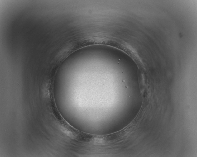 X0000074260114200609011353