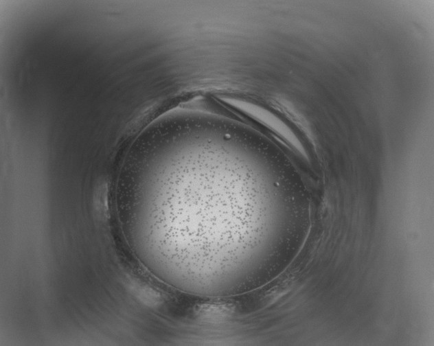 X0000074260115200609011353