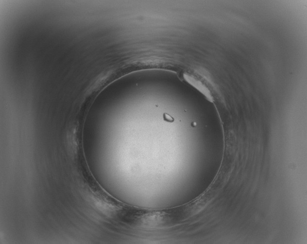 X0000074260116200609011353