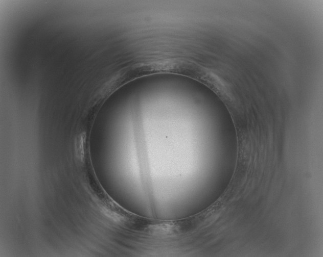 X0000074260118200609011353