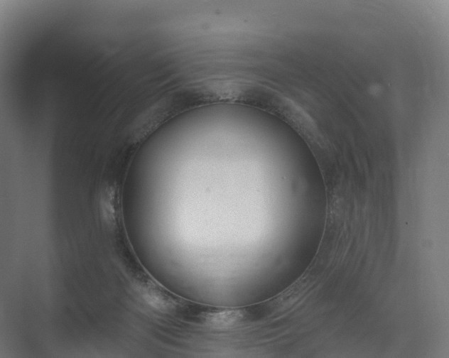 X0000074260122200609011353